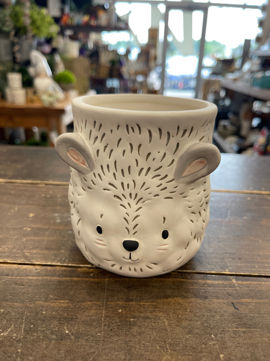 Hedgehog Planter