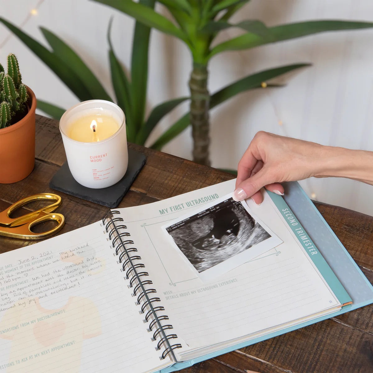 Bump for Joy memory Journal Green