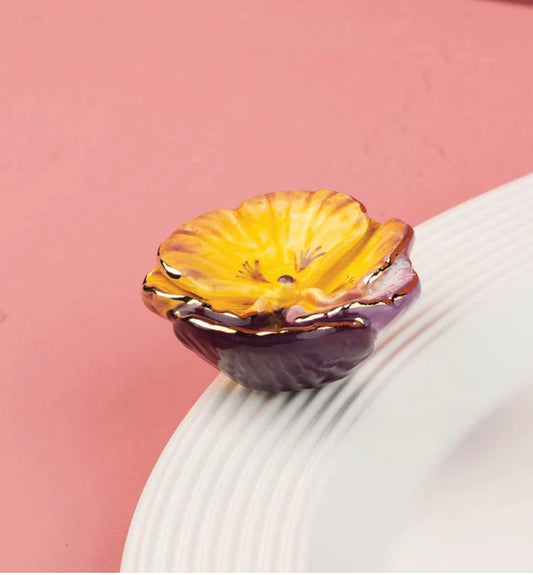 Pansy Pop Mini (A456)