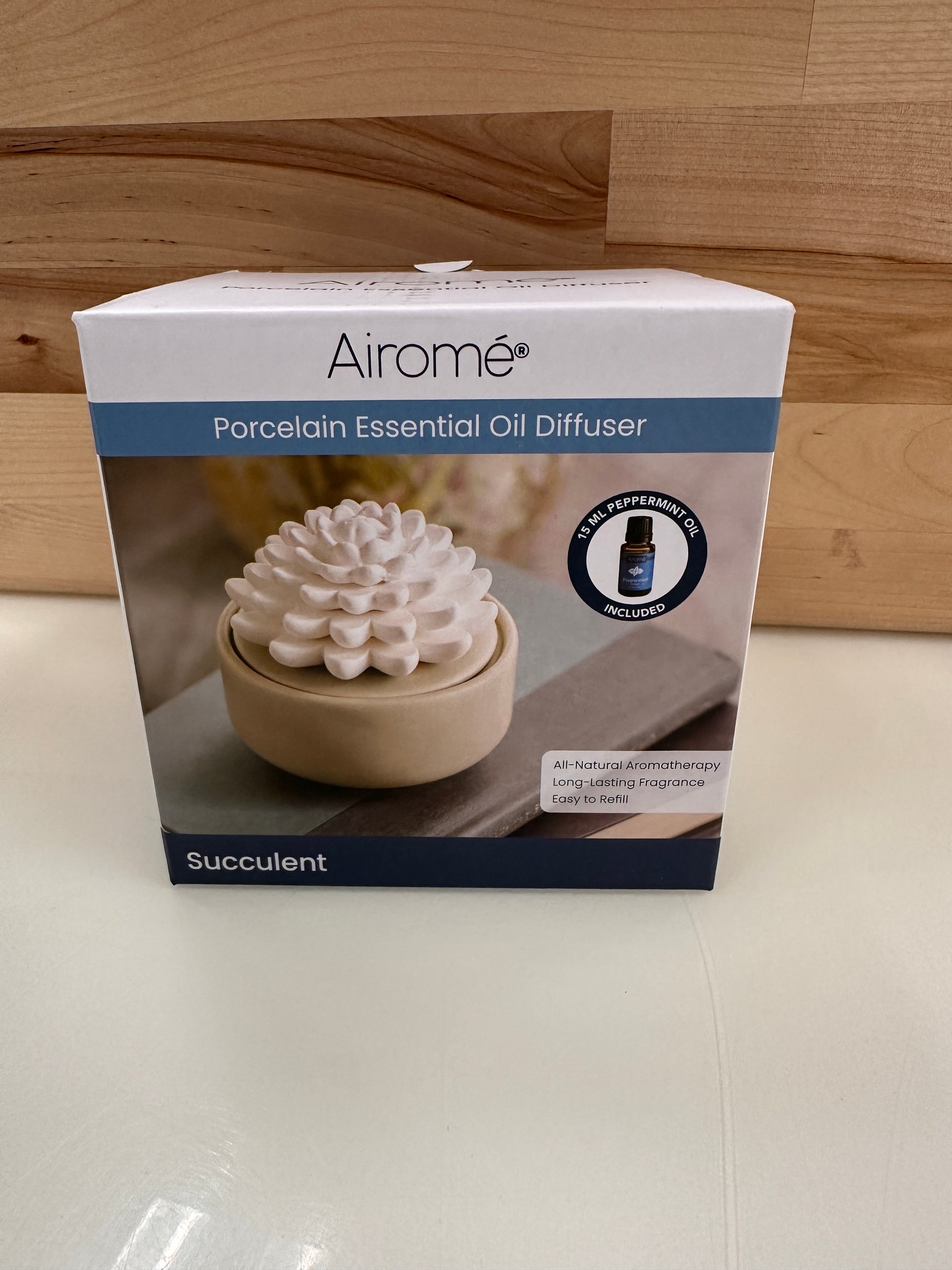 airome succulent oil diffuser Porcelain Essential Oil Diffuser – Witty Wicks Candles