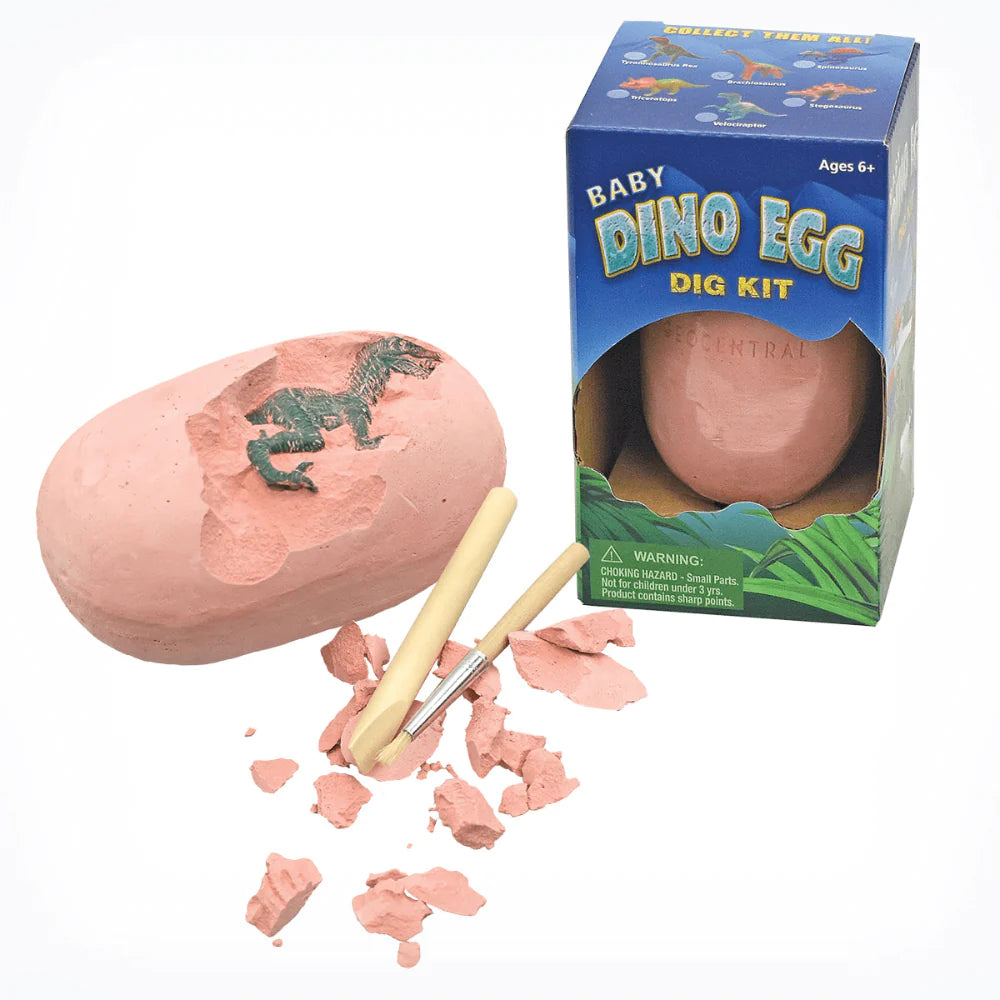 Baby Dino Egg Dig Kit