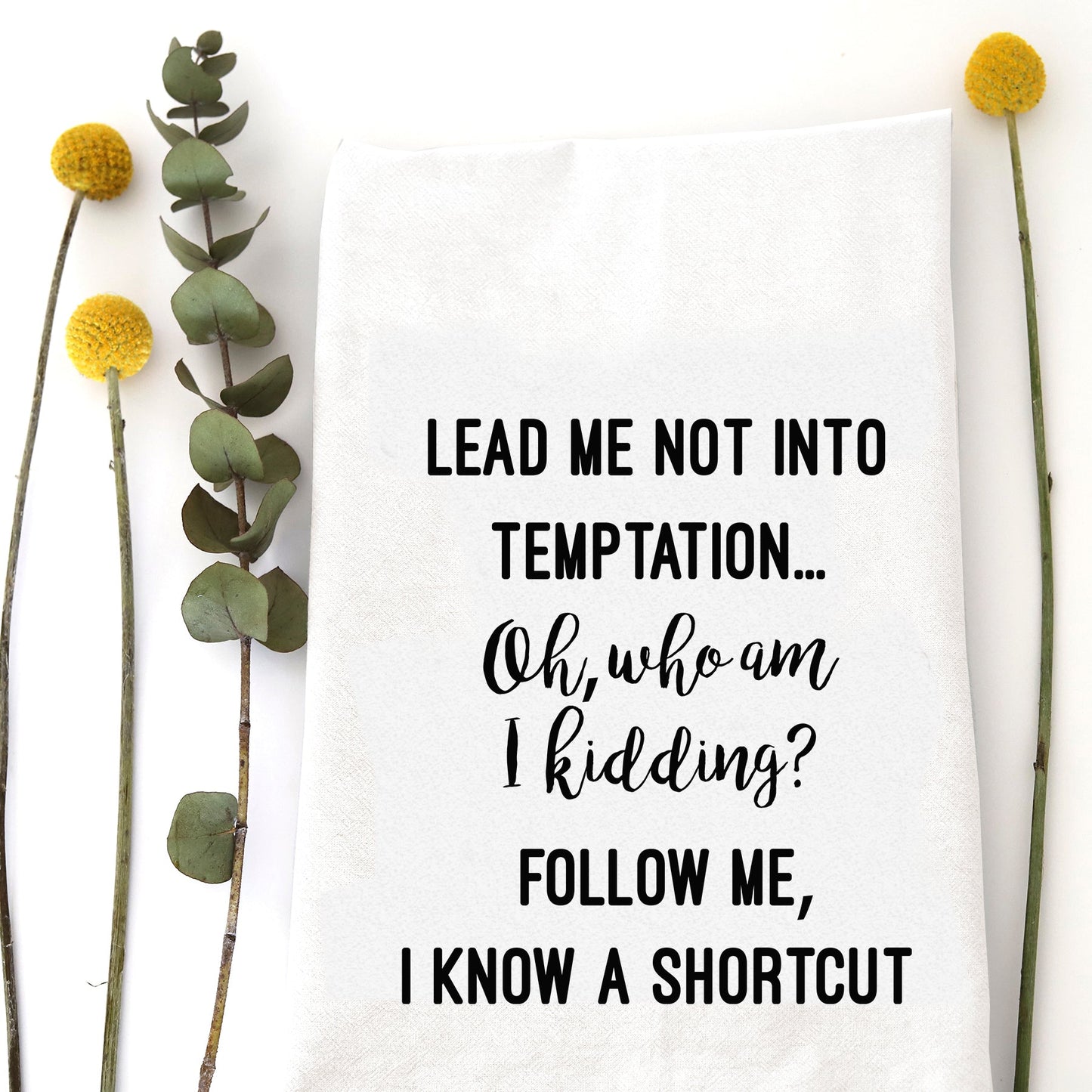 Lead Me Not...