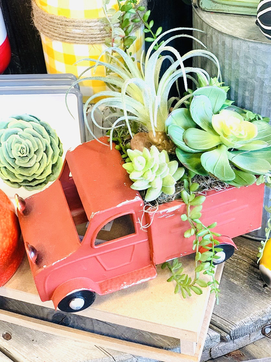 Small Truck with Succulents