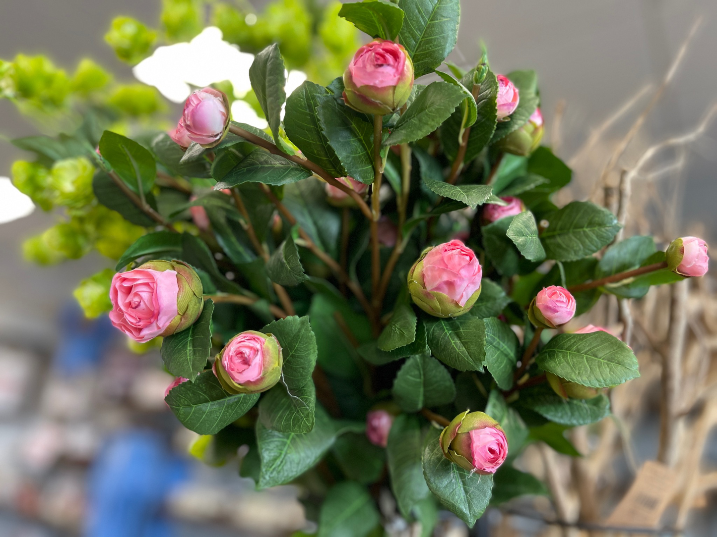 Peony Stem