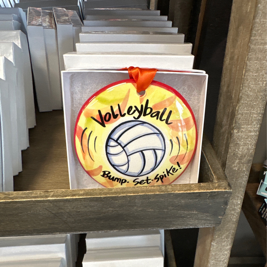 Volleyball - "Bump. Set. Spike!"